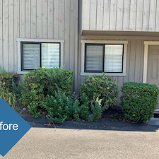 Fall-2025-Planting-Design-Installation-in-Oronoque-Village-Stratford-CT 3